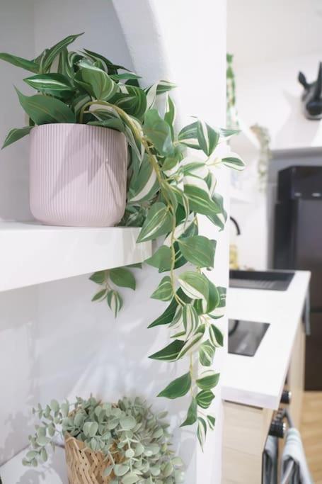 La Casa Del Chic Apartment Cabestany Екстериор снимка